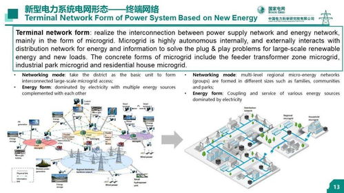 中國電科院 王繼業(yè) 新型電力系統(tǒng)的技術(shù)問題研究